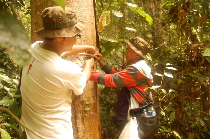 2 pengukuran diameter